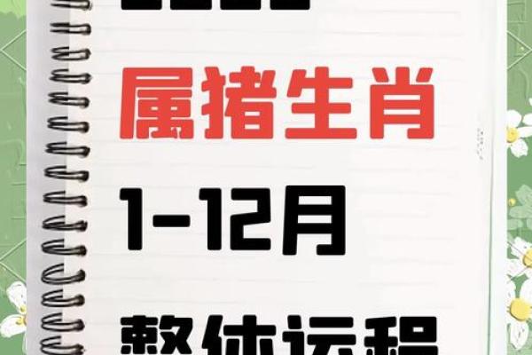 2025年属猪1995年运势_2025年属猪冲太岁戴什么