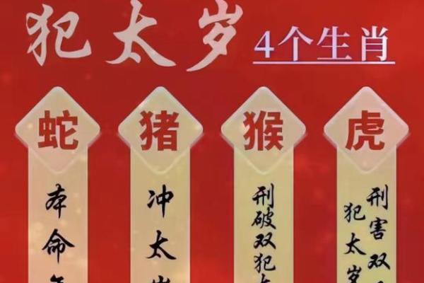 2025年属猪1995年运势_2025年属猪冲太岁戴什么