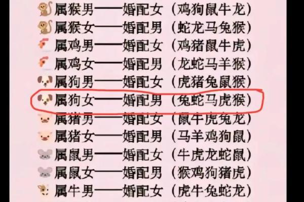 1999年十一月属兔最佳婚配指南1999年11月良缘配对表