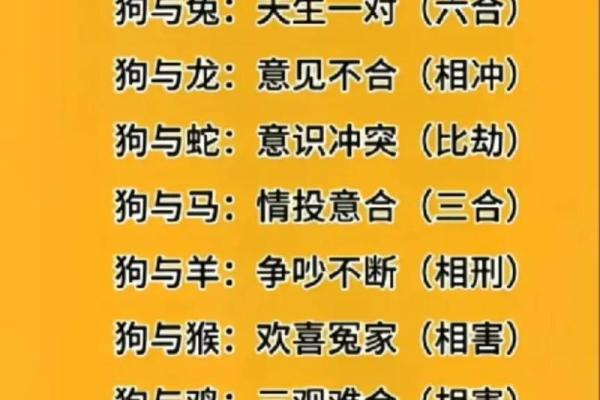 属虎和属羊的人适合做夫妻吗_属虎和属羊适合做夫妻吗生肖配对解析与婚恋建议