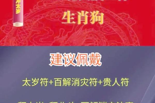1987年2024年属兔人的全年运势 2024年1994年属狗人的全年运势
