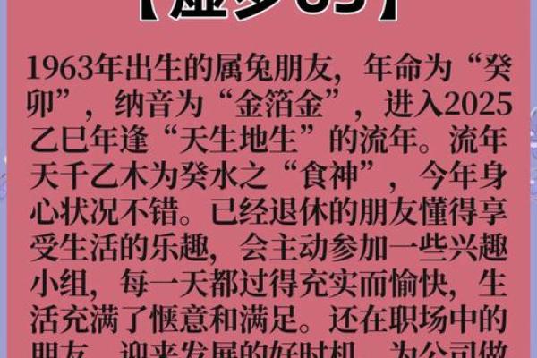 2025年属兔宜去的城市 2025年十一月属兔吉城推荐2025年11月属兔宜去城市