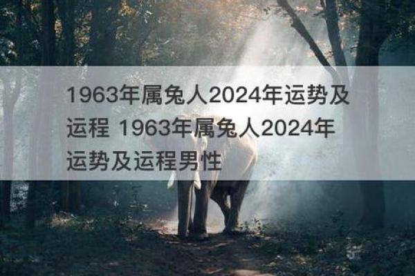 2025年属兔男运势解析1963年出生者每月运程