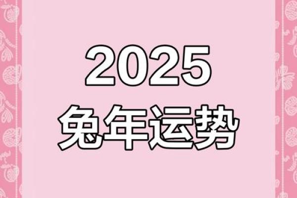 生肖兔2025年运势完整版 属兔人2025年运势及运程