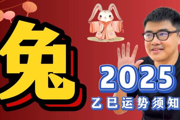 属兔2025年运势完整版_2025年属兔全年运势详解每月运程完整版