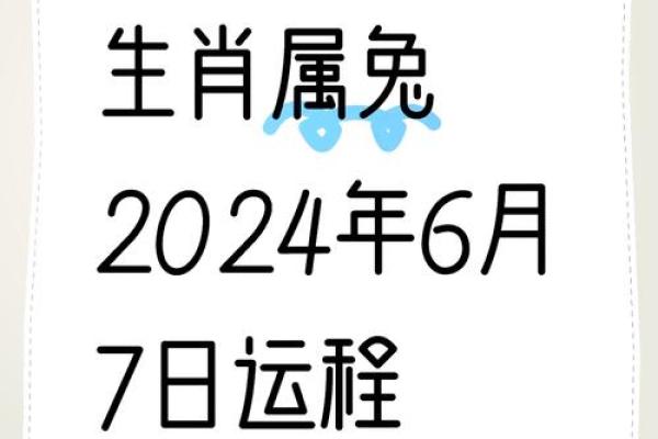 属兔2024年的运势及运程_属兔2024年的运势及运程每月运气