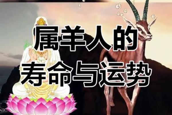 2025年属羊1967人的全年运势_属羊67年寿命劫数
