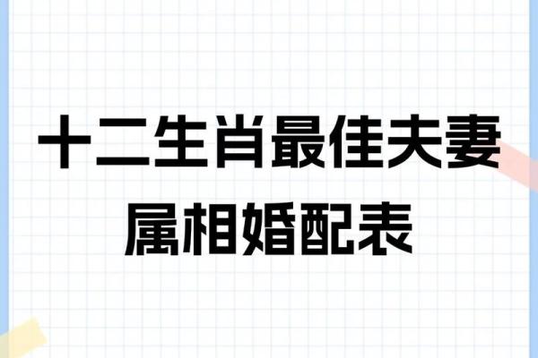 两个属羊的人婚配好不好_一月羊守空房二月羊三月羊四月羊