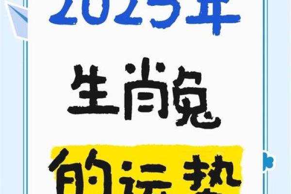 2025年属兔的年龄表 2025年十一月属兔年龄表2025年11月生肖兔岁数查询