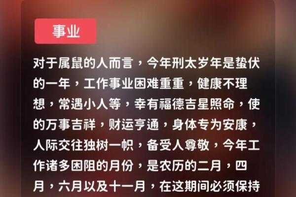 2025年十一月属兔吉日指南2025年11月生肖兔运势解析
