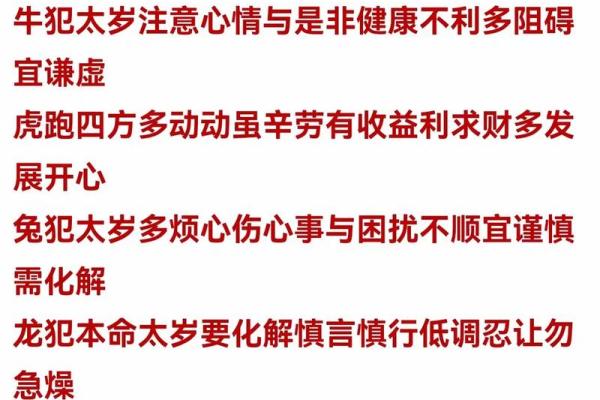 1979属羊人2025全年运势运程_79年属羊的2024年每月运程