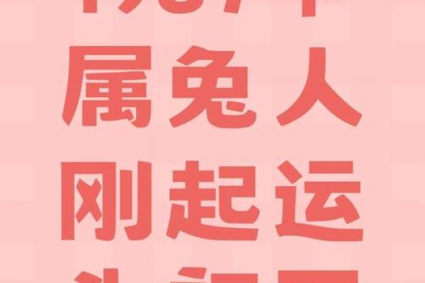 87年属兔今日运势查询_1987属兔今日运势详解水墨