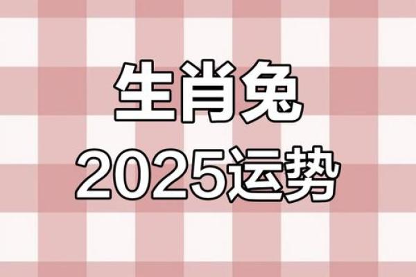 2025年十一月75年兔人运程解析11月运势指南