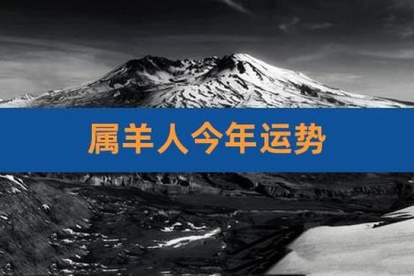 79年羊女在2025年运势完整版 1979属羊一生三大劫难年
