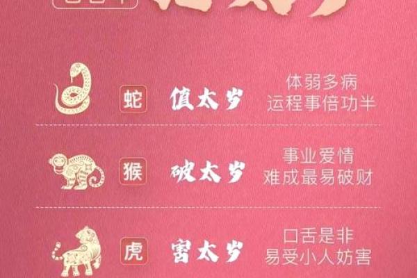 2007年属猪人2025年运势及运程完整解析