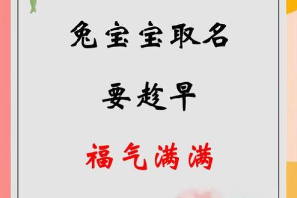 2025年十一月属兔年龄查询2025年11月生肖兔岁数对照