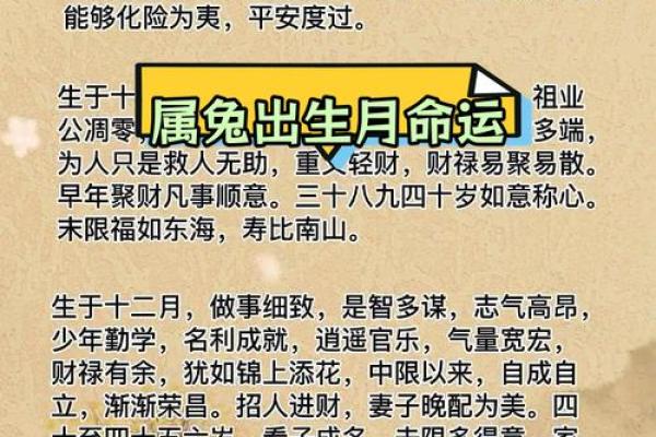 2025年十一月属兔人运势指南2025年11月吉祥日解析
