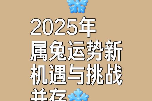 2025年十一月属兔人运势指南2025年11月吉祥日解析
