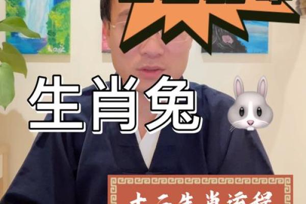 87年属兔的今年多大_63年属兔今年多大