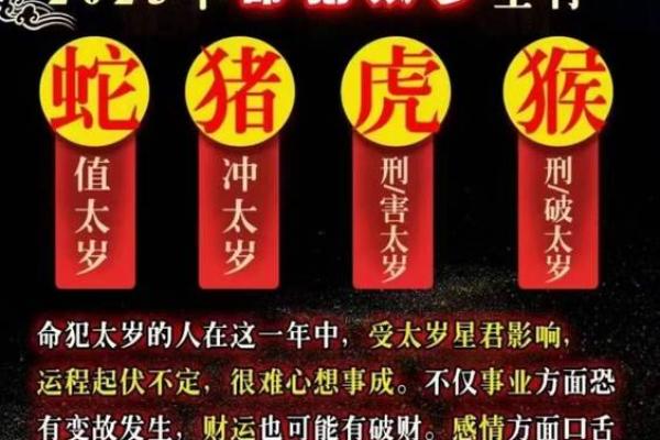 2025年属兔害太岁 属兔的今年要离开三个人