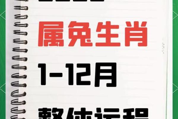 1987属兔2025年运势每月 1987属兔2025年逐月运势全解兔年各月运程完整指南