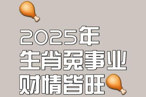 2025年十一月属兔年龄解析2025年11月生肖兔岁数对照表