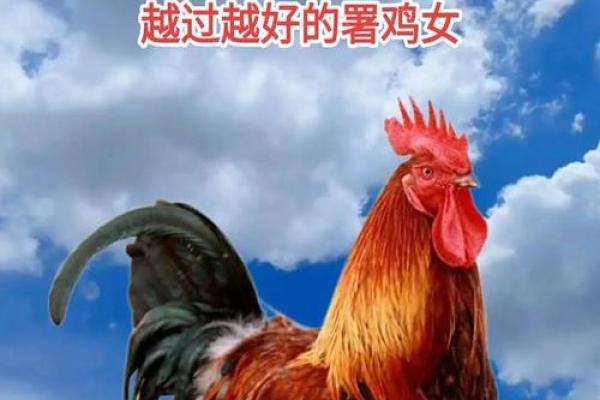 属鸡出生最好六个吉日 属鸡上等命出生时辰