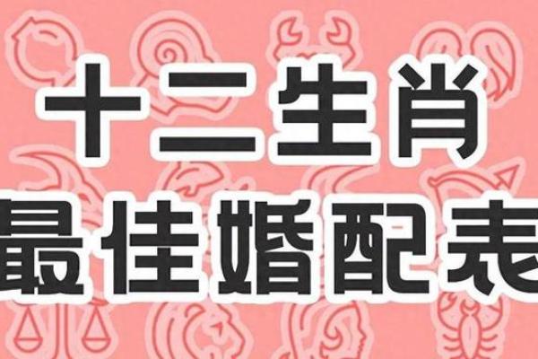 属牛女和什么属相最配婚姻_属牛女最佳婚配属相揭秘最幸福的婚姻组合