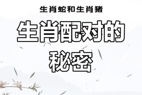 85岁属什么生肖揭秘高龄老人的生肖秘密