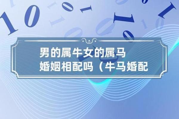 属马男性最佳婚配属相 属马男性最佳婚配属相解析幸福婚姻的生肖密码