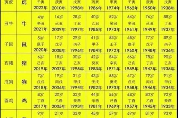 今年属什么生肖 2024年属什么生肖最新生肖年份解析与运势预测