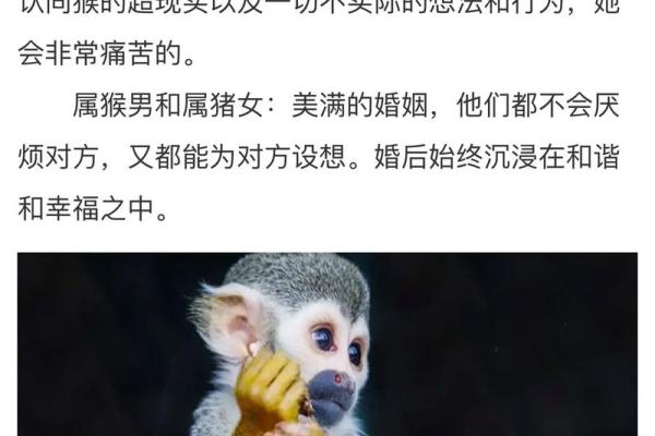 猴男和什么属相最配_2004年属猴男和什么属相最配