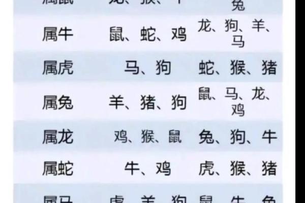属龙和属鸡的相配吗_属龙和属鸡的相配吗揭秘生肖配对的最佳组合