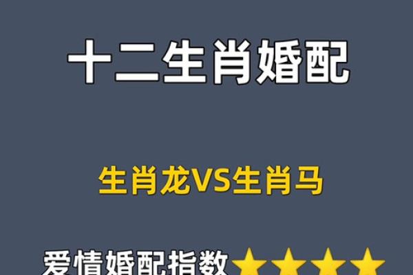 2000年出生的属龙人 2000年出生的属龙人最佳配偶