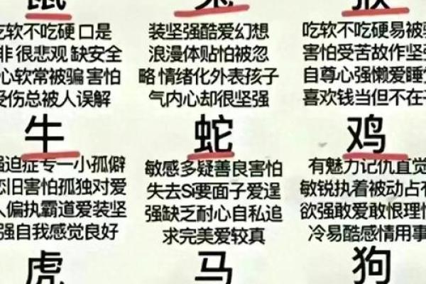 1992年属什么生肖揭秘92年出生者的生肖属相