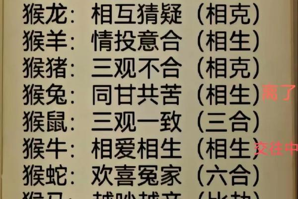 1992年属什么生肖揭秘92年出生者的生肖属相