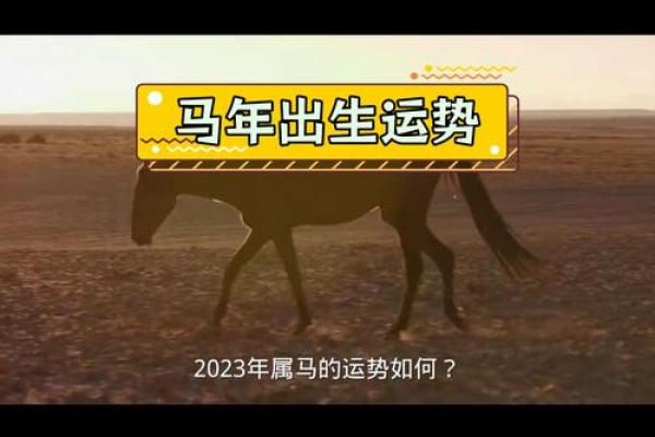 2023属马的运势和财运1978年_78年属马2023年的运势