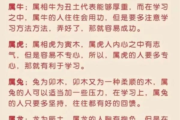 2023年31岁属什么生肖揭秘你的生肖运势_1737860859