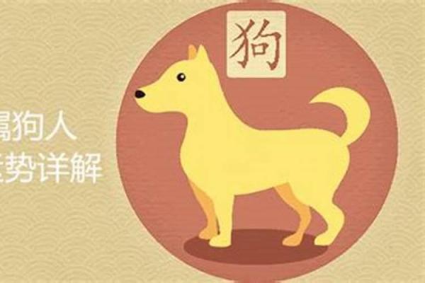 82年属什么生肖揭秘1982年出生者的生肖奥秘