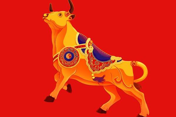 1949年属什么生肖_1949年属什么生肖揭秘属牛人的命运与性格