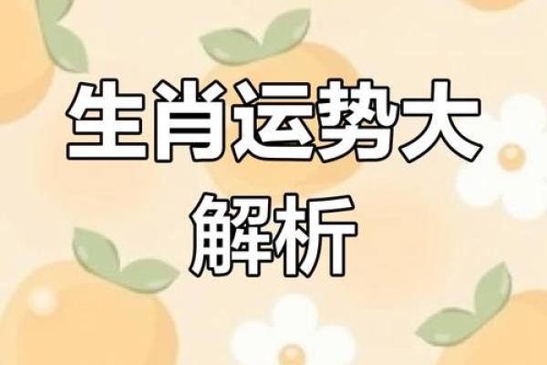 22年属什么生肖 2022年属什么生肖揭秘最新生肖运势与性格特点