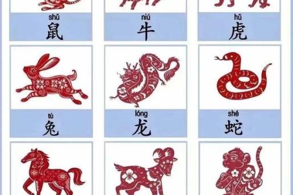 84年属什么生肖 84年属什么生肖揭秘1984年出生者的生肖属相