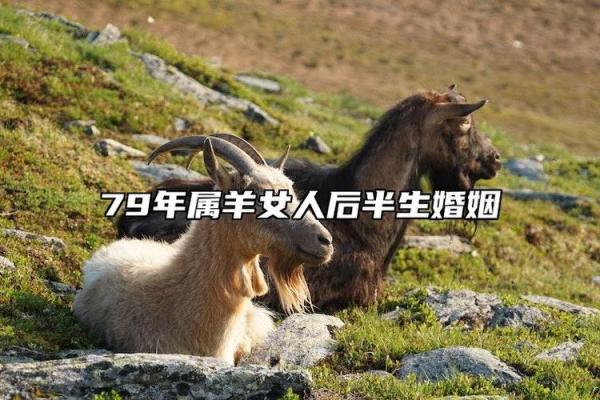 七九年属什么生肖揭秘1979年出生者的生肖运势