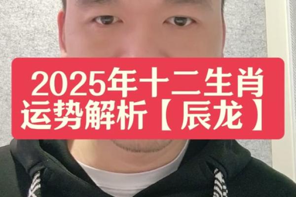 2025属龙财运_2025属龙财运最旺月份