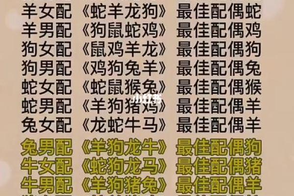 99年属兔男最佳婚配属相 99年属兔男最佳婚配属相揭秘最合拍的生肖配对