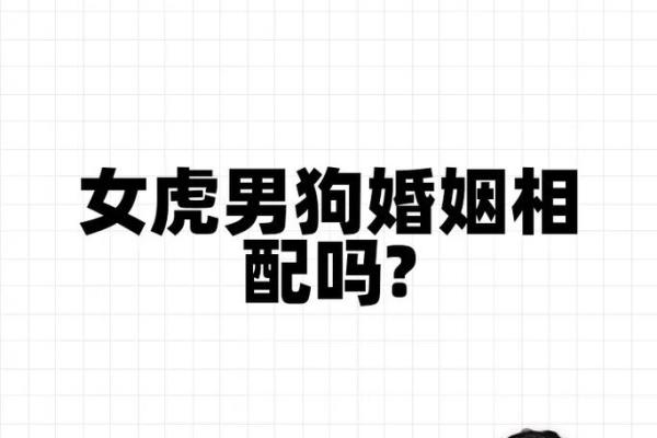女属虎婚配最佳属相_女属虎婚配最佳属相揭秘最合拍的生肖配对