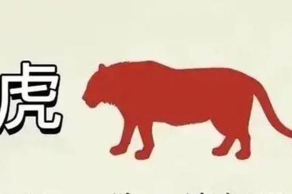 属虎年是哪几年生的 属虎的年份是哪一年