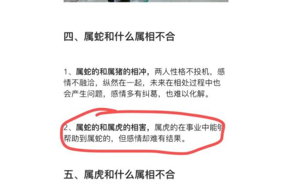 属虎和属蛇的婚配解析缘分与挑战并存