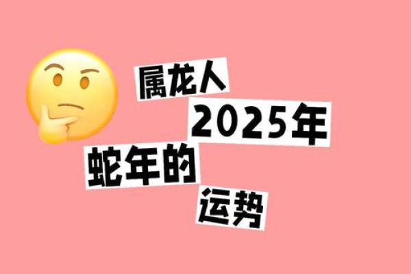 属龙人2025彻底大爆发_属龙2025的运势