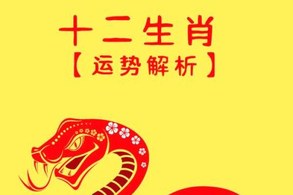 2025年属龙的运气怎么样 2025年属龙运势解析财运事业感情全面预测